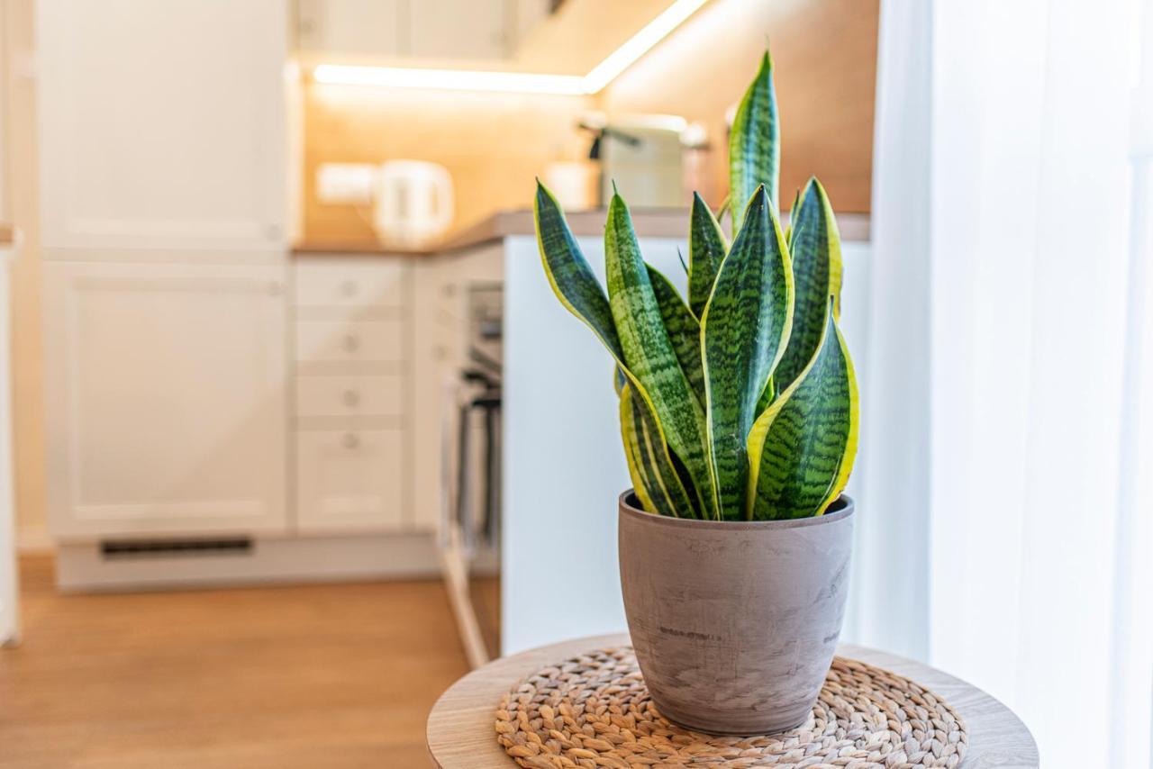 Cosy Inner City Getaway Bestern Szeged Luaran gambar